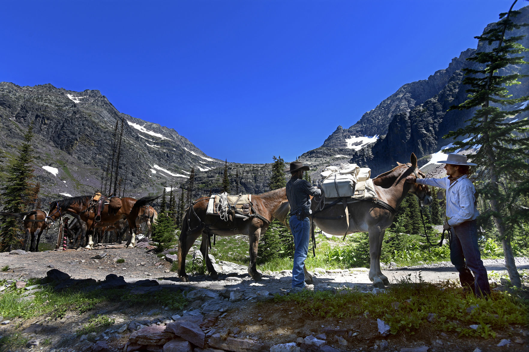 Outfitters and mules at Sperry Chalet (copy)